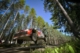 VIDEO - Cameracar Ogier-Ingrassia in Finlandia 13 Ogier